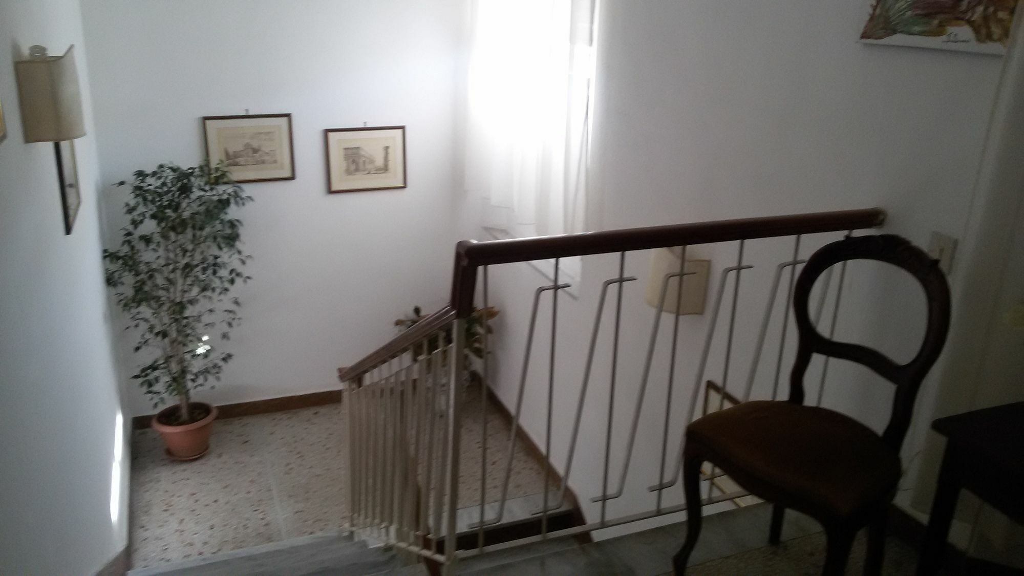 פיזה La Coccinella Guest House מראה חיצוני תמונה